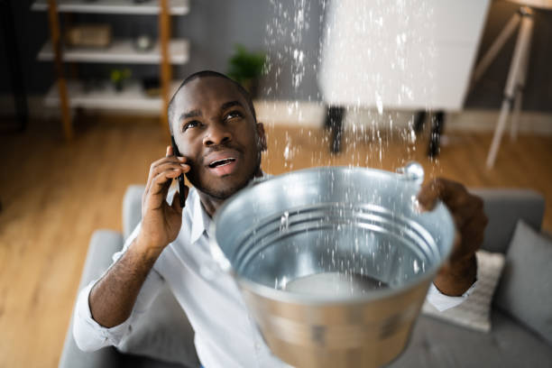 Best Flood damage cleanup  in Wilton, CA