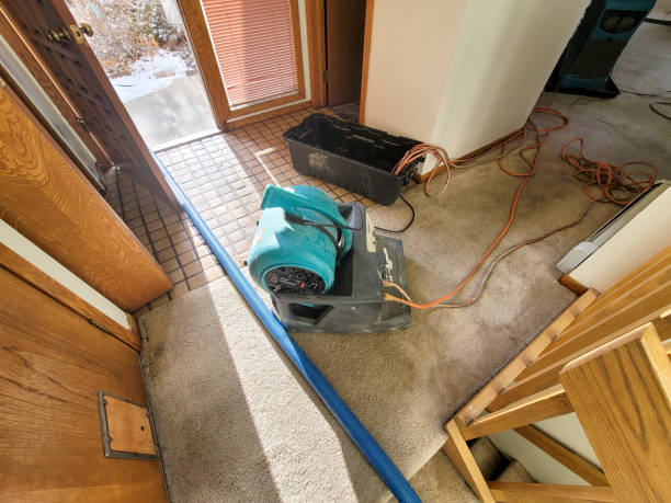 Best Sewage cleanup and water damage restoration  in Wilton, CA
