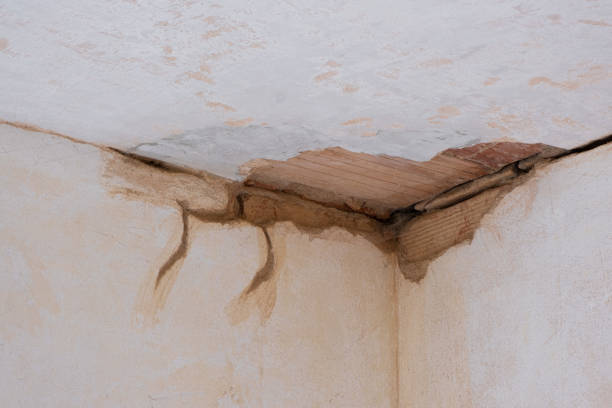 Water damage restoration insurance claims in Wilton, CA