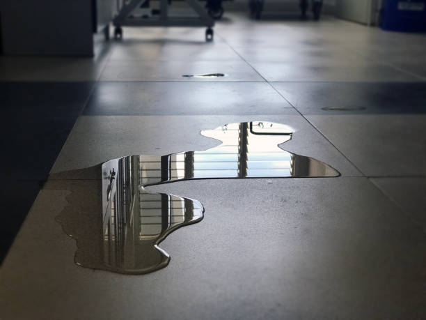 Best 24/7 water damage repair  in Wilton, CA