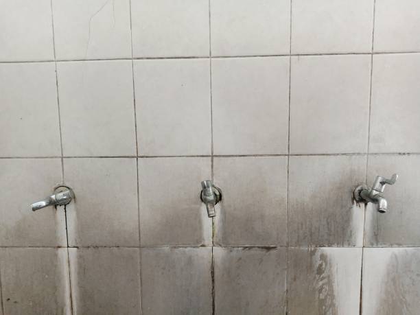 Best Water damage restoration near me  in Wilton, CA