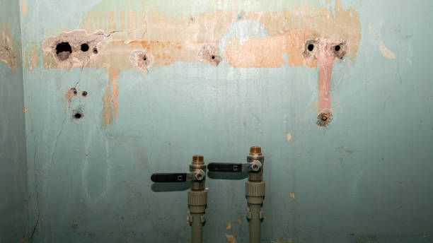 Professional Water damage restoration in Wilton, CA