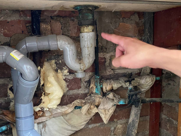 Best Commercial water damage restoration  in Wilton, CA
